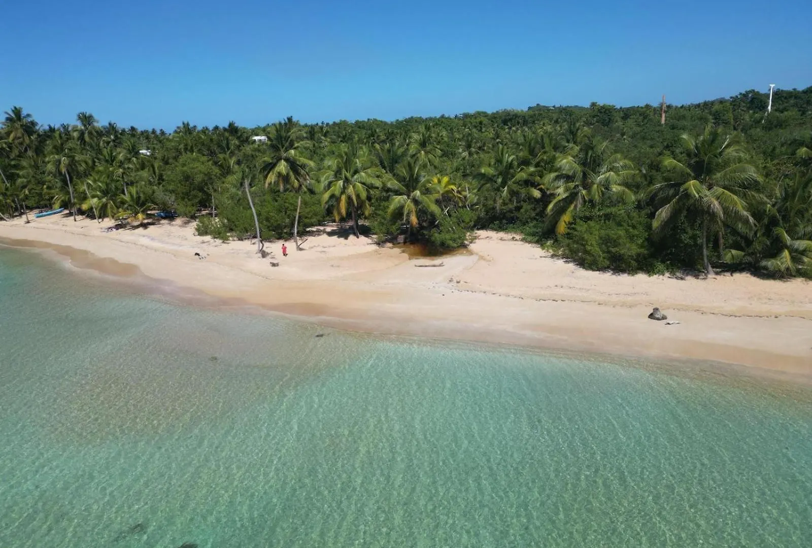 Playa Turchese Apartamento Las Terrenas Lägenhet
